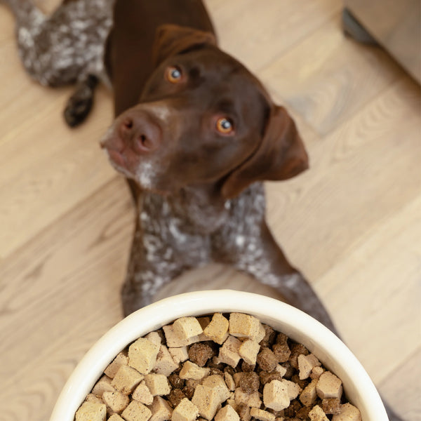 Beef Dog Food Topper