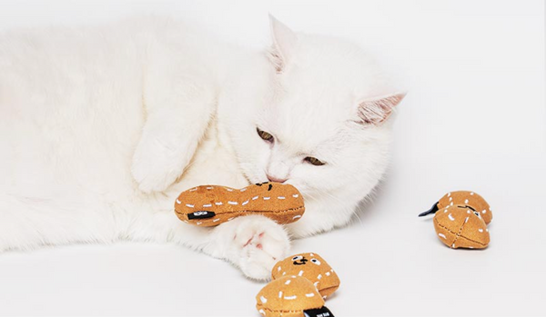 Peanut Catnip Cat Toy (3pcs