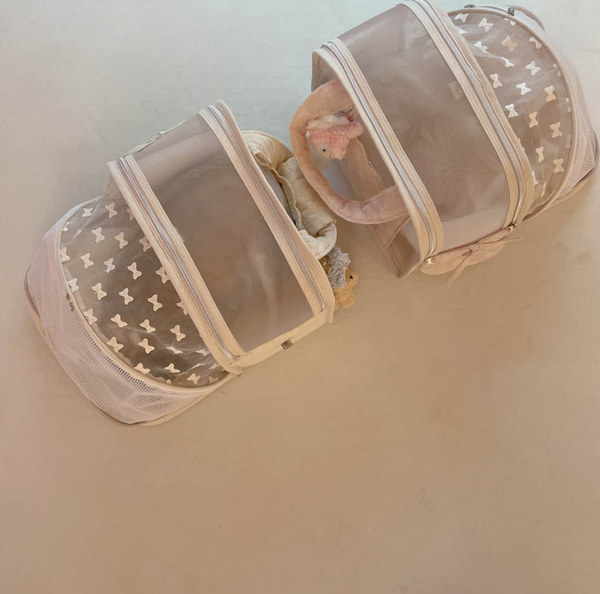 Ajibag Cube See-Through