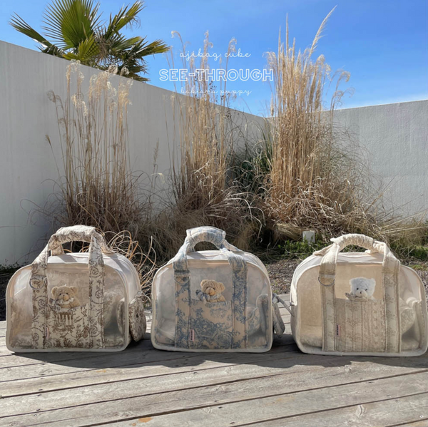 Ajibag Cube See-Through