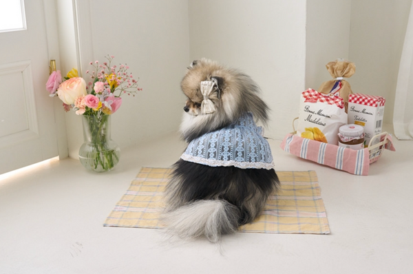 Fortress Lace Harness