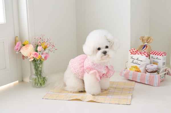 Fortress Lace Harness