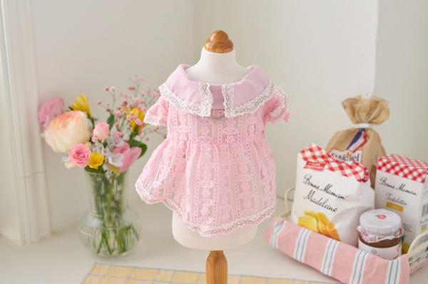 Fortress Lace Harness