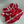 Load image into Gallery viewer, Fortress Lace Harness

