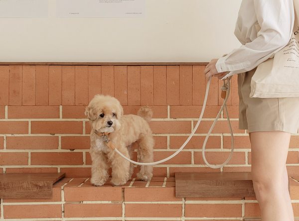 Classic Rope Leash