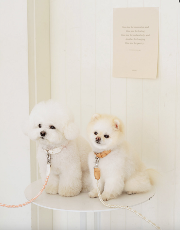 Classic Rope Collar