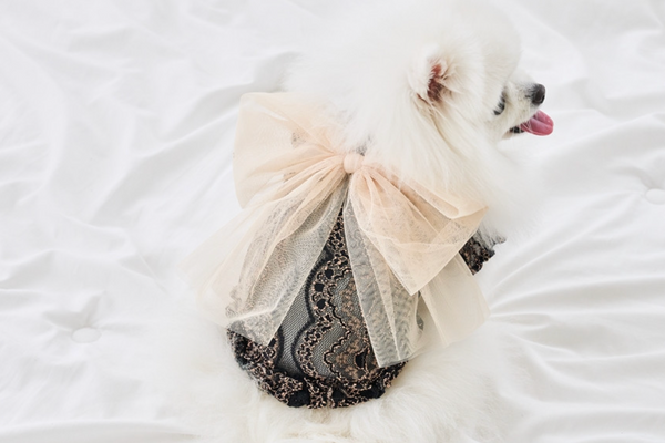 Big Bow See-Through Sleeveless
