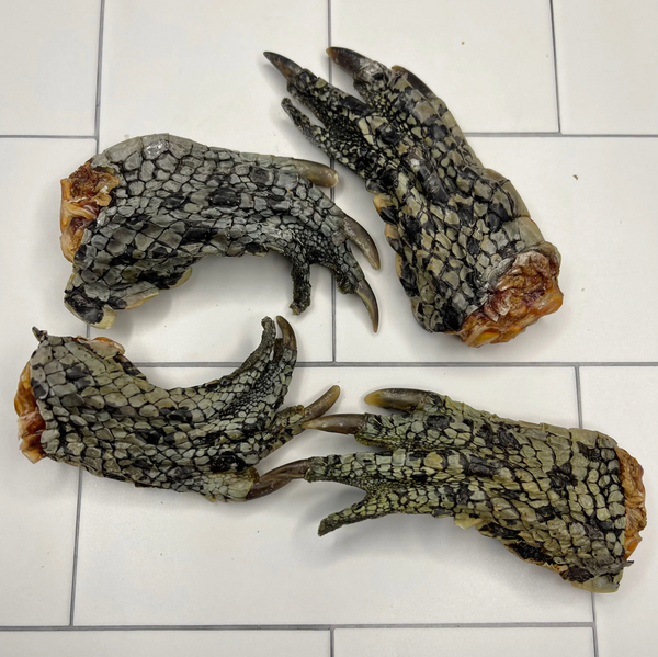 GOT CROCS - Crocodile Feet