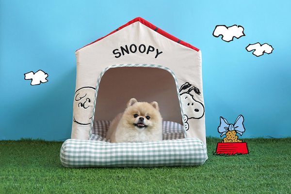 Snoopy Frame House