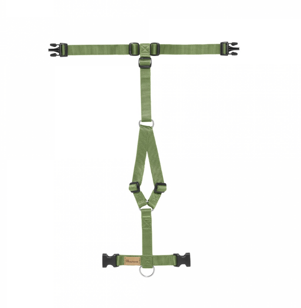 Harness H