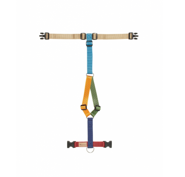 Harness H