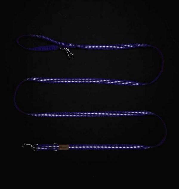 High Visibility Leashes