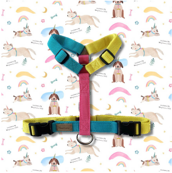 Unicorn Harness