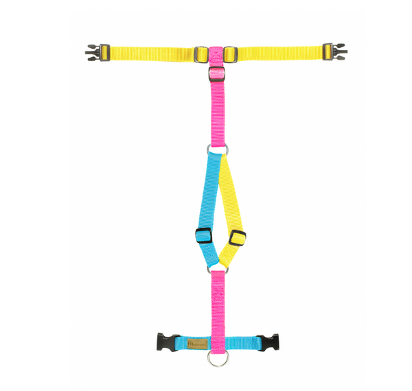 Unicorn Harness