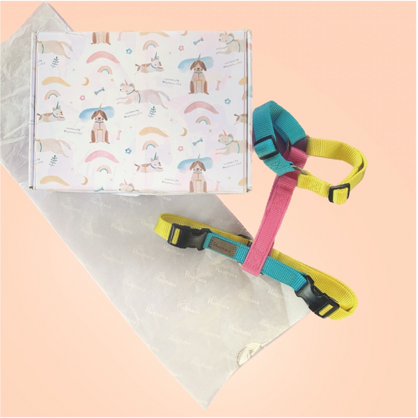 Unicorn Harness