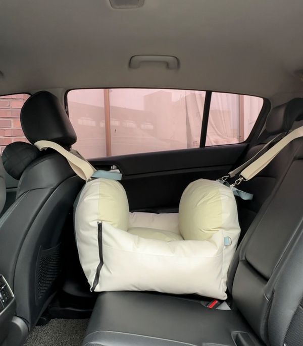 Recycle Car Seat