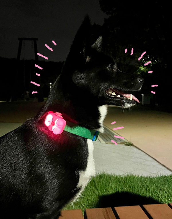 Jellybear LED Blinker