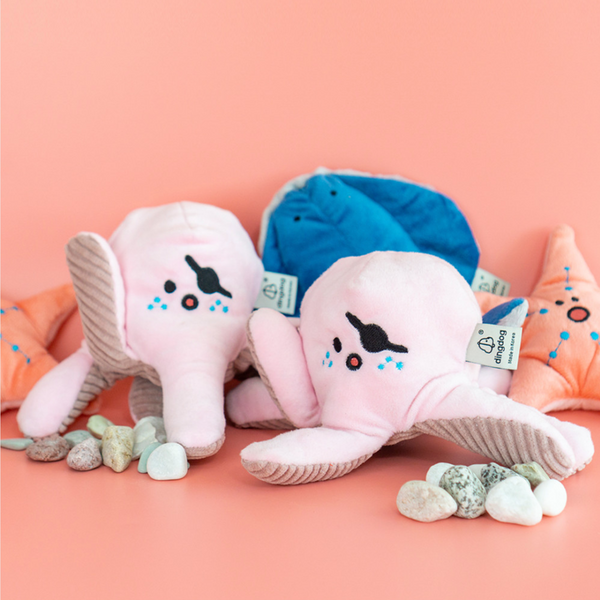 Octopus Nose Work Toy