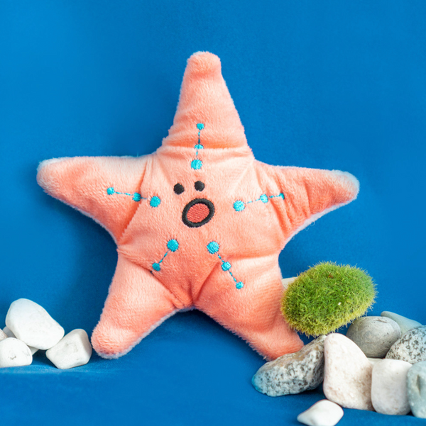 Starfish Nose Work Toy