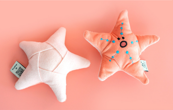 Starfish Nose Work Toy
