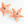 Load image into Gallery viewer, Starfish Nose Work Toy
