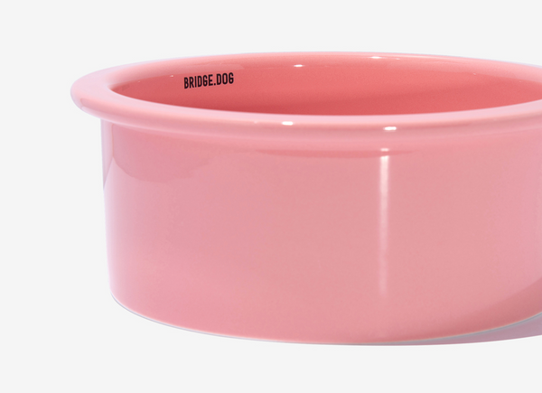 Big Bowl - Coral Pink (Glossy)