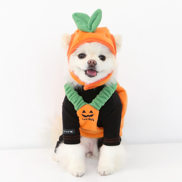 Halloween Pumpkin Vest