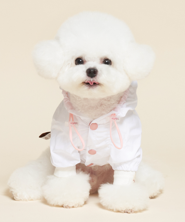 Bear Windbreaker