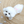 Load image into Gallery viewer, Organic Coco Ballon Romper
