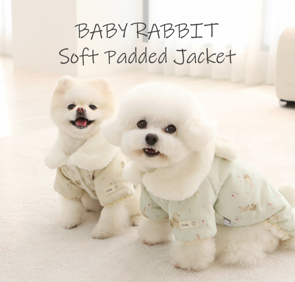 Rabbit Soft Padded Jacket