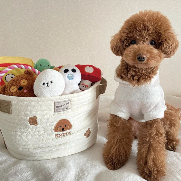 Custom Toy Basket