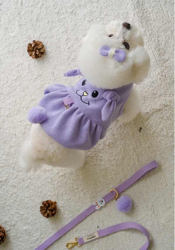 Rabbit Pumpkin Harness