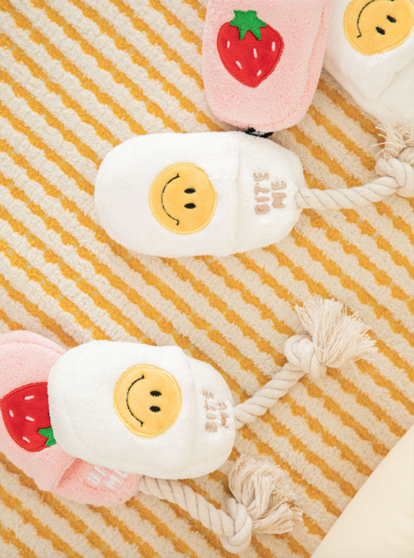 Slipper Tug Toy