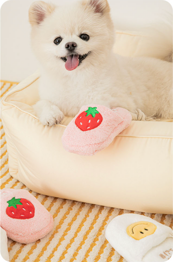 Slipper Tug Toy