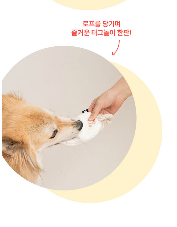 Slipper Tug Toy