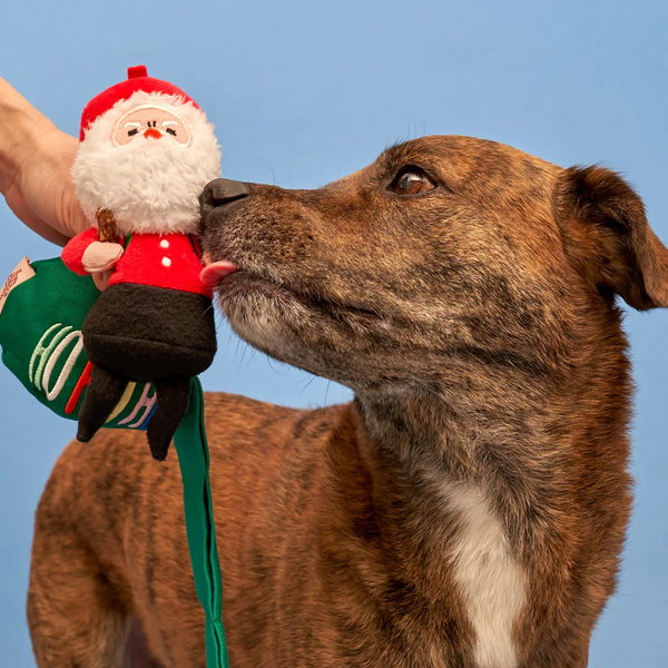 Santa Paws Nosework Toy