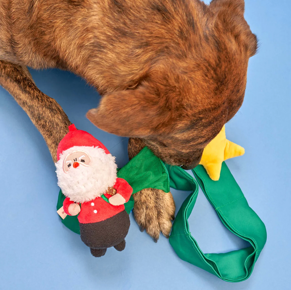 Santa Paws Nosework Toy