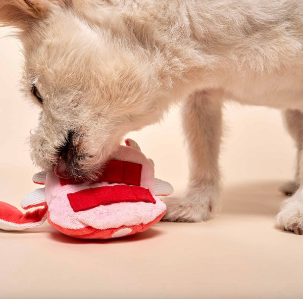 Crab Nosework Toy