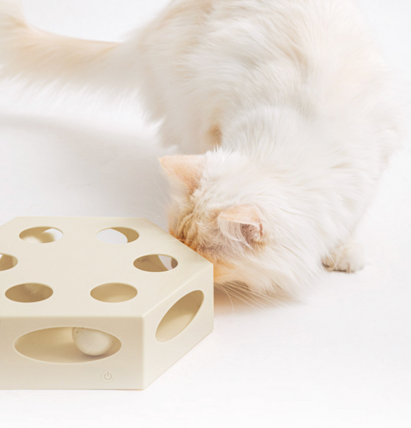 Cats Cake Automatic Toy