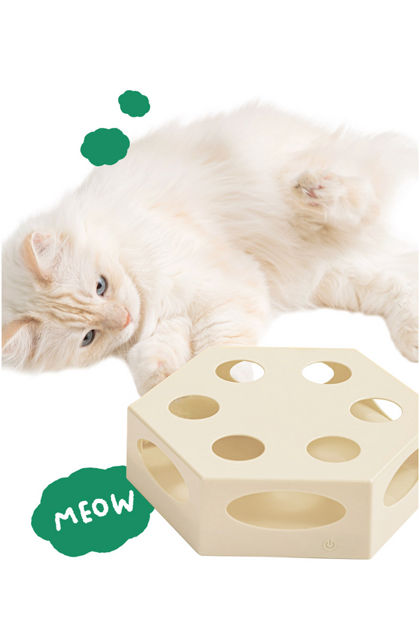 Cats Cake Automatic Toy
