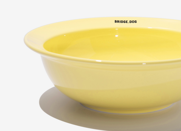 Big Dish - Baby Yellow (Glossy)