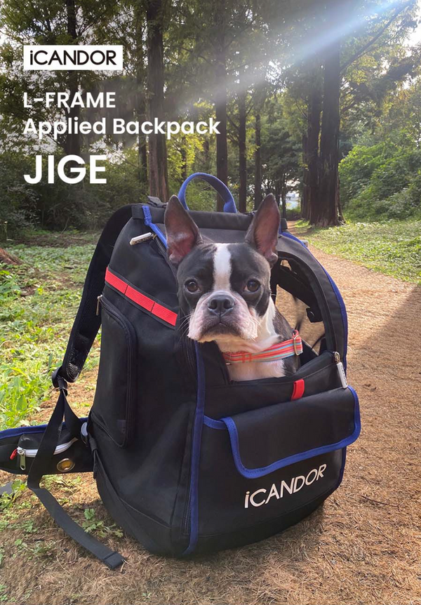 Jige Backpack