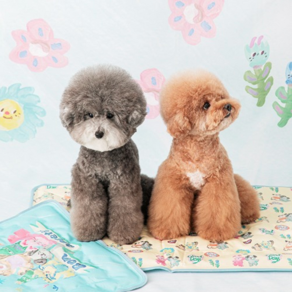 Pokori Friends Cool Mat