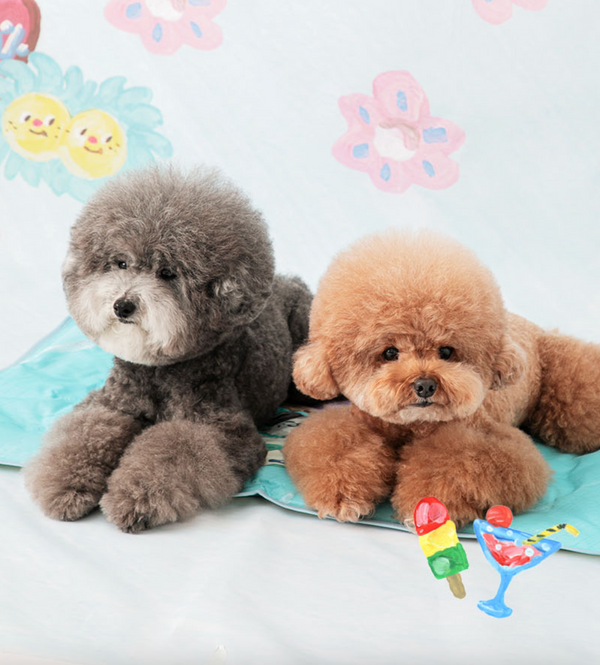 Pokori Friends Cool Mat