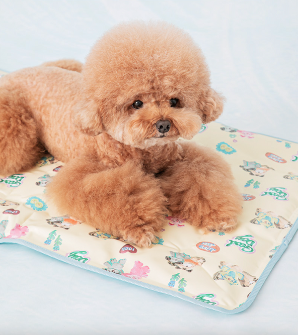 Pokori Friends Cool Mat