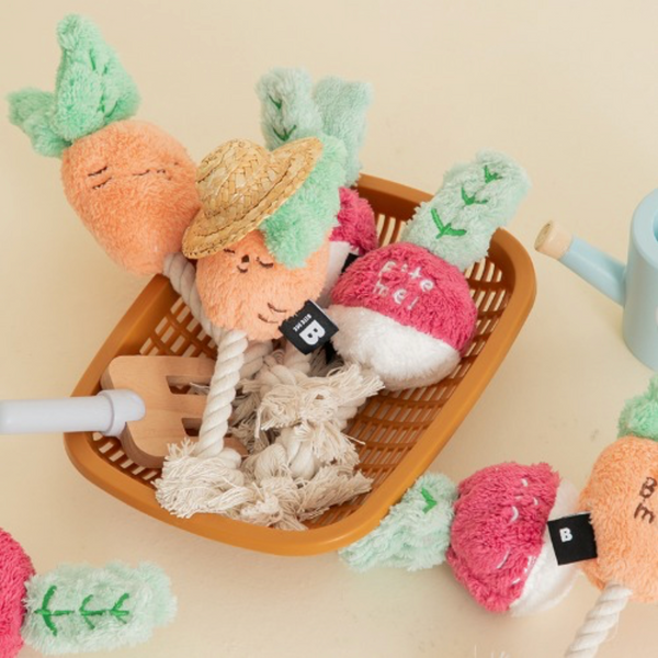 Root Vegetable Tug Toy
