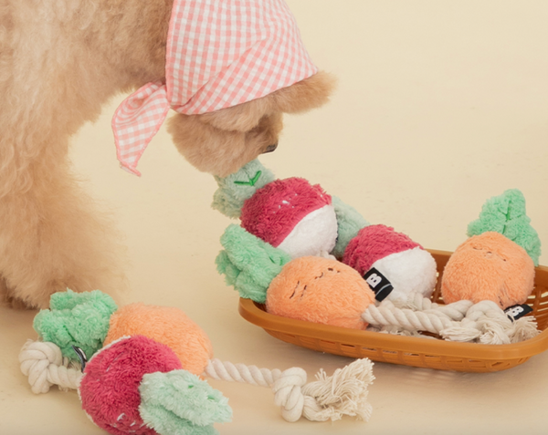 Root Vegetable Tug Toy