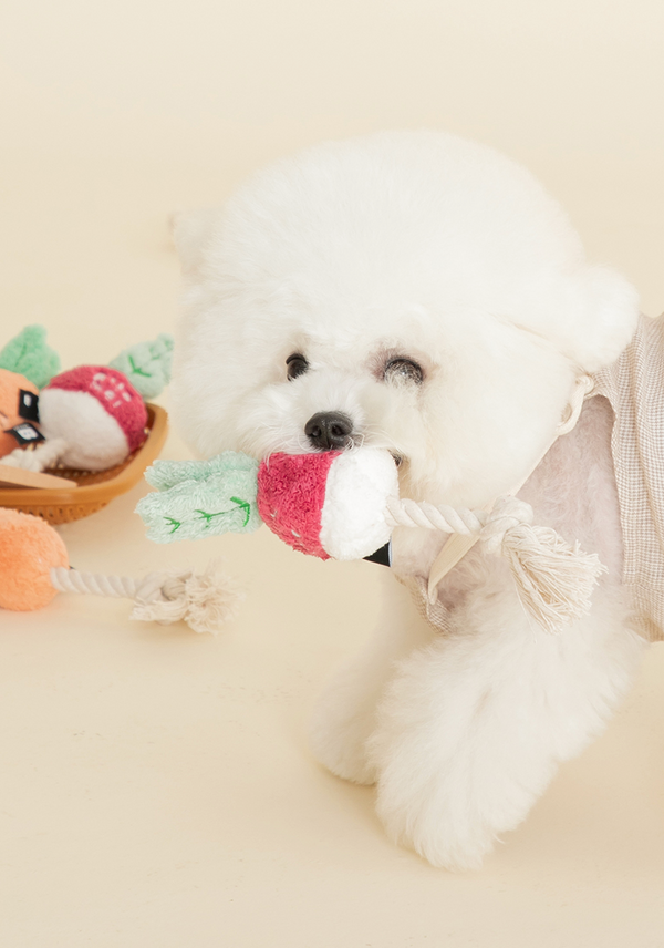 Root Vegetable Tug Toy