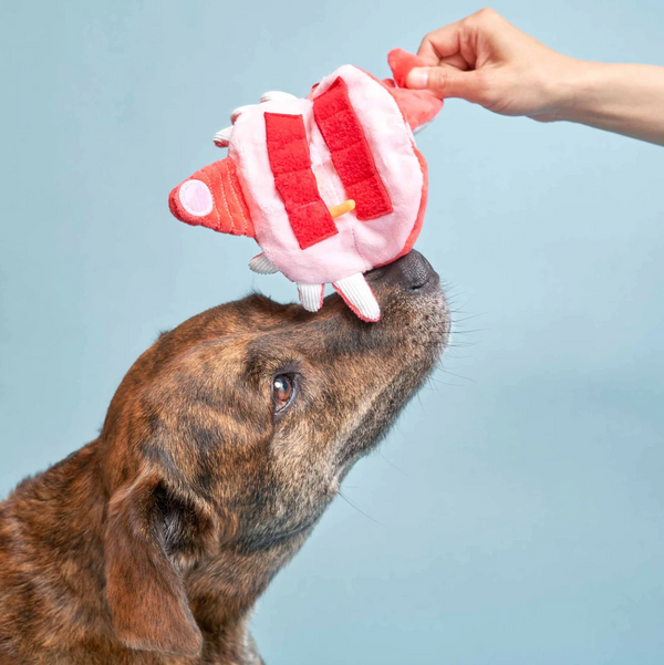 Crab Nosework Toy