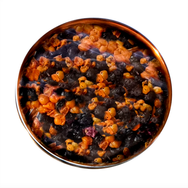 Freeze-dried carrot & blueberry